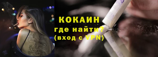 прущий лед Алзамай