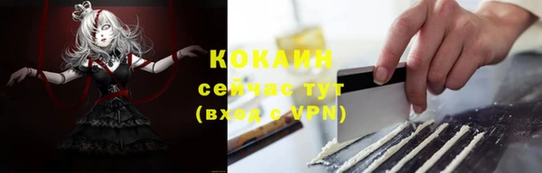 прущий лед Алзамай