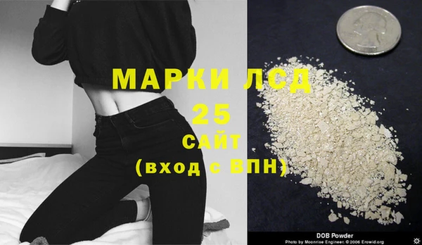 прущий лед Алзамай